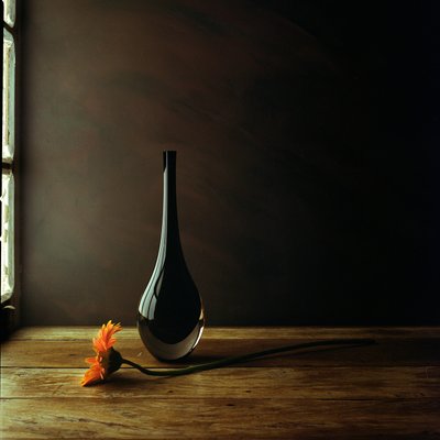 Nature morte élégante avec gerberas dans un vase - Luiz Laercio