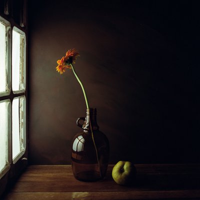 Nature morte à la fenêtre, d
