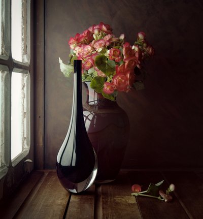 Lumière de fenêtre « Fleurs roses » - Luiz Laercio