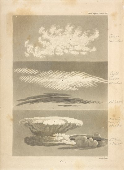 Types de nuages décrits par l