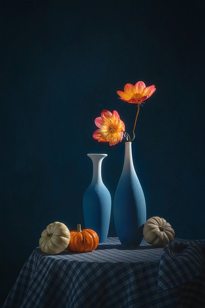 Dahlia d