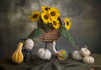  - Lydia Jacobs