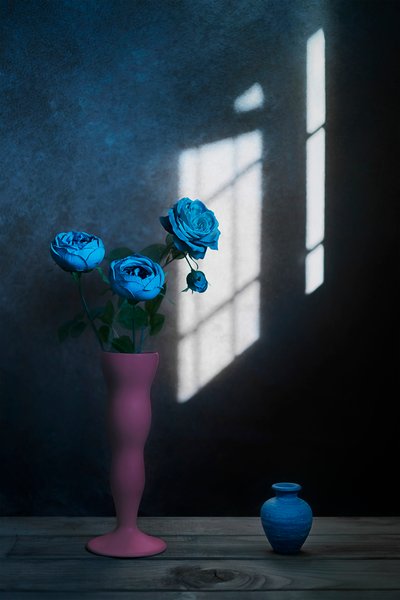 Lumière de fenêtre « Roses bleues » - Lydia Jacobs