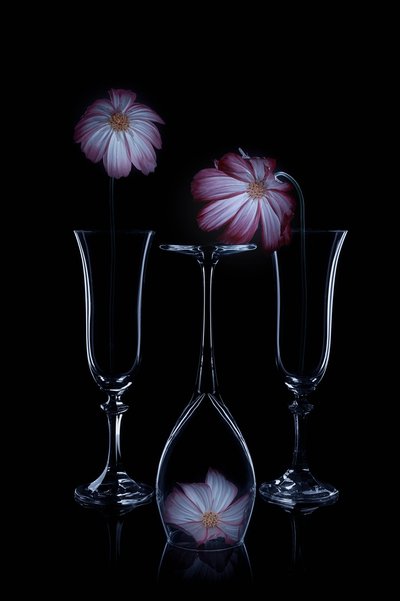  - Lydia Jacobs