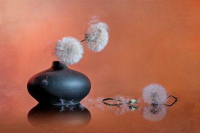 Nature morte délicate au pissenlit - Lydia Jacobs