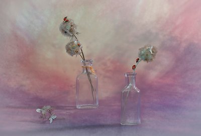 Nature morte onirique à la coccinelle - Lydia Jacobs