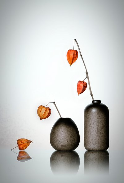 Élégantes lanternes d
