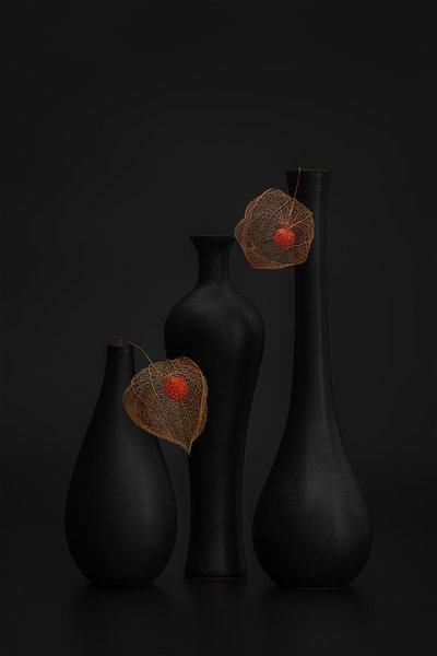 Élégant physalis noir, nature - Lydia Jacobs