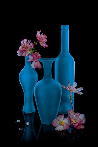 Nature morte bleue élégante - Lydia Jacobs