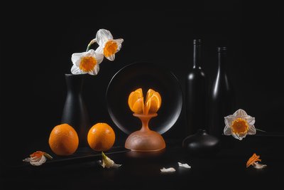 Nature morte élégante aux agrumes - Lydia Jacobs