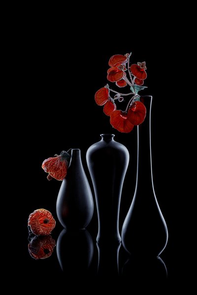  - Lydia Jacobs