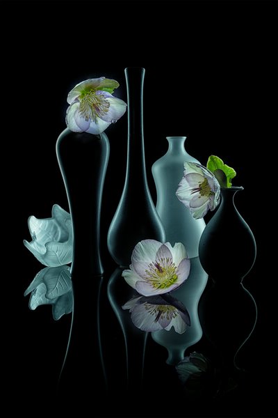 Éclat floral raffiné - Lydia Jacobs