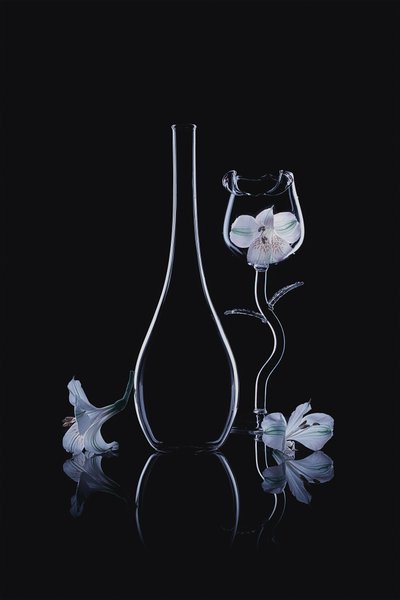 Élégantes orchidées en verre - Lydia Jacobs