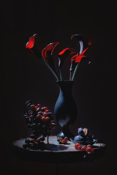 Élégants lis calla rouges - Lydia Jacobs