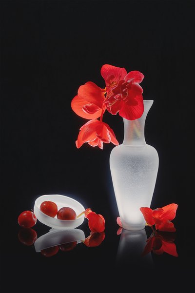Nature morte rouge élégante - Lydia Jacobs