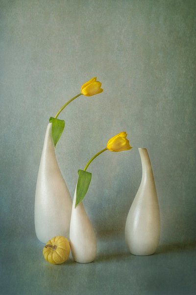  - Lydia Jacobs