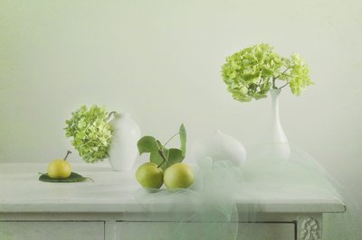 Nature morte aux légumes verts frais - Lydia Jacobs