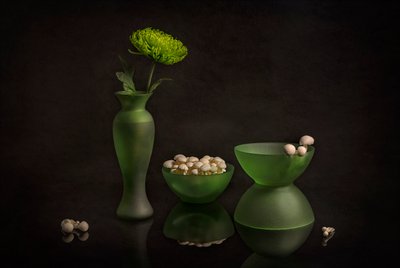 Fleurs vertes et verre - Lydia Jacobs