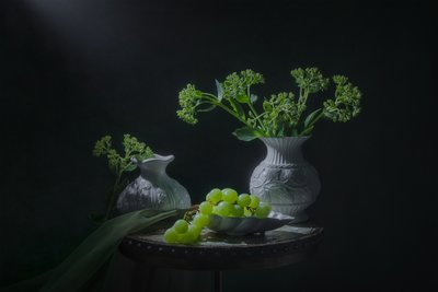 Nature morte aux raisins verts - Lydia Jacobs