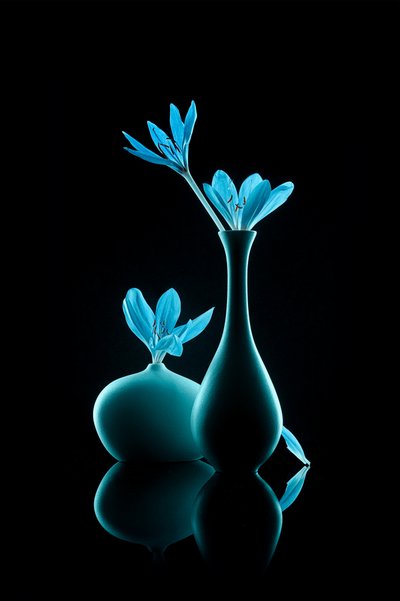 Nature morte bleue lumineuse - Lydia Jacobs