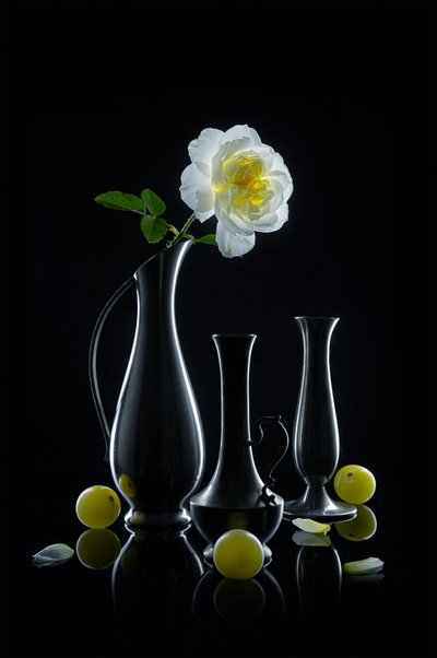 Rose lumineuse et vases - Lydia Jacobs