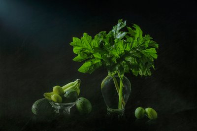 Nature morte botanique luxuriante - Lydia Jacobs