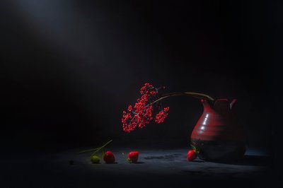 Baies rouges mélancoliques - Lydia Jacobs