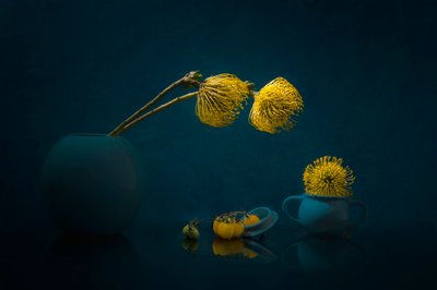 Fleurs jaunes mélancoliques - Lydia Jacobs