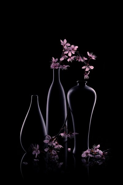  - Lydia Jacobs