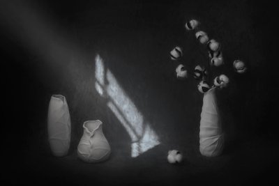 Nature morte sereine au coton - Lydia Jacobs