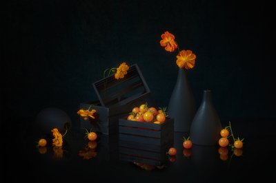 Nature morte « Récolte éclatante » - Lydia Jacobs