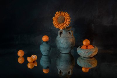 Des mandarines « Sunflower » aux couleurs éclatantes - Lydia Jacobs