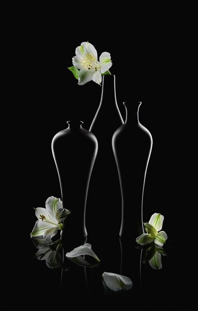 Fleurs blanches, vases sombres - Lydia Jacobs