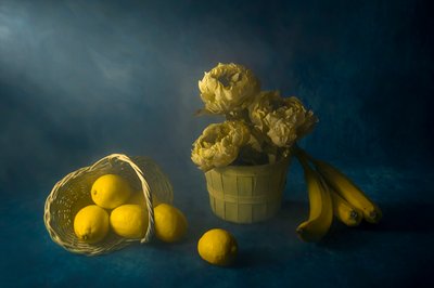 Fleurs jaunes et citrons - Lydia Jacobs