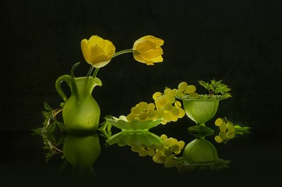 Tulipes jaunes et raisins verts - Lydia Jacobs