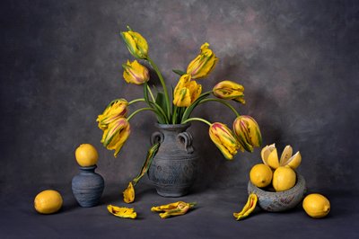 Tulipes jaunes et citrons - Lydia Jacobs