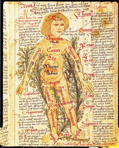 Influence des étoiles sur les maladies du corps humain, de Tractatus de Pestilencia - M, Albik