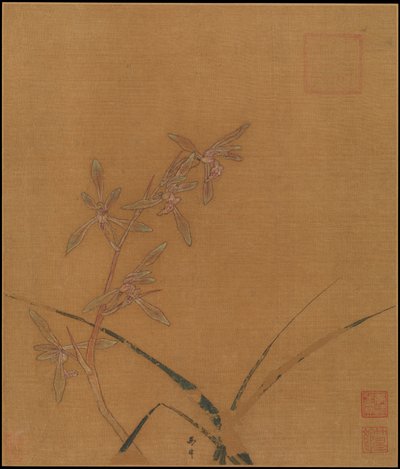 Orchidées - Ma Lin