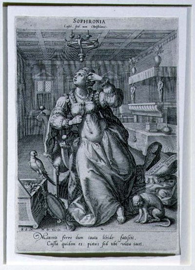 Sophronia, d