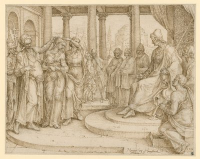  - Maarten van Heemskerck
