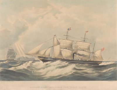 Navire à vapeur à vis auxiliaire 