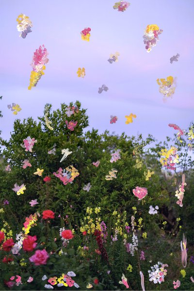 Fleurs abstraites, 2019 - Madeleine Gross