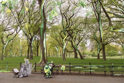 Central Park, 2019 - Madeleine Gross