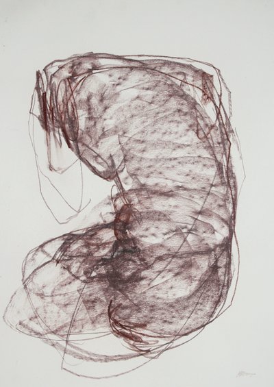 Torse 5, 2022 (fusain sur papier) - Madgalena Morey