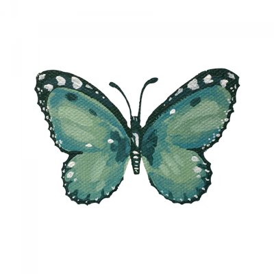 Élégant papillon bleu sarcelle - Madison Phipps