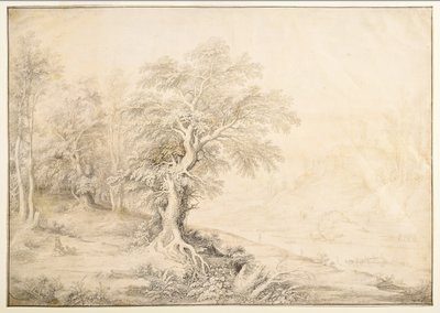 Paysage fluvial - Maerten de Cock
