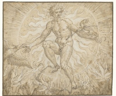 Ignis (série des Quatre éléments) - Maerten de Vos