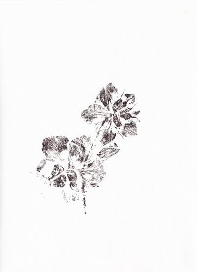 Empreintes florales abstraites - Maira Ribena