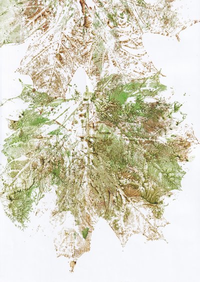 Imprimé feuilles d