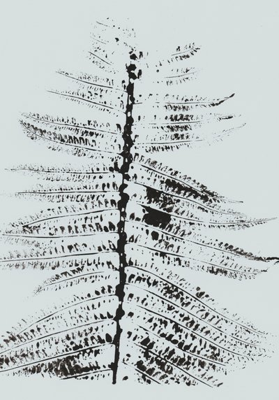 Black Ink Fern - Maira Ribena